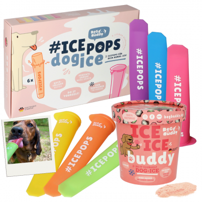 Beg Buddy Icepops - calippo kutyafagyi készítő csomag (6db os forma + 1 fagylalt)