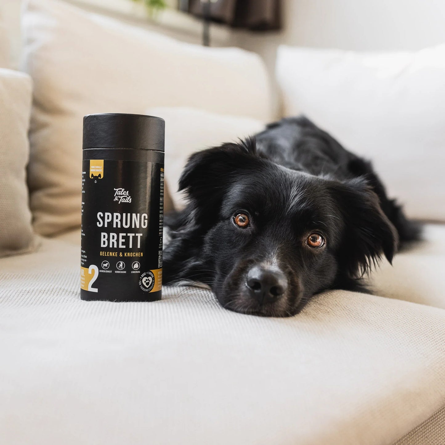 Tales & Tails Funkcionális jutalomfalat kutyáknak - Sprung Brett - Könnyed Lépés - ízülettámogató - 15gr TESZT csomag