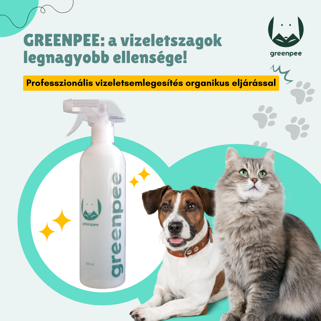 Kutyapisit semlegesítő spray – természetes tisztítás otthon