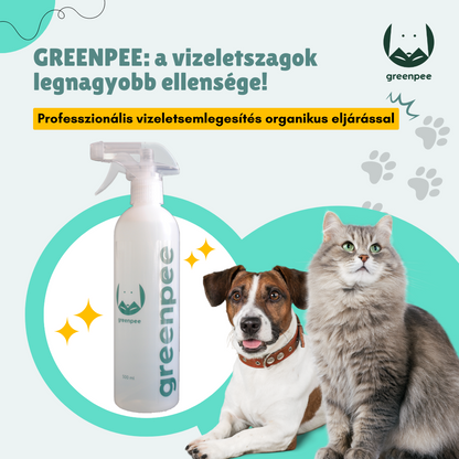 Kutyapisit semlegesítő spray – természetes tisztítás otthon