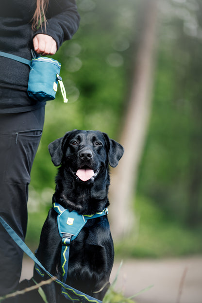 Woolly Wolf Horizon szett  szett - hám + póráz