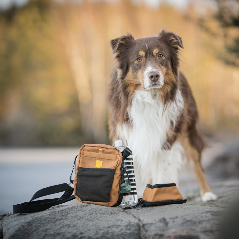 Woolly Wolf Hydration - praktikus kutyás válltáska kulacstartóval és itatótállal - Barna