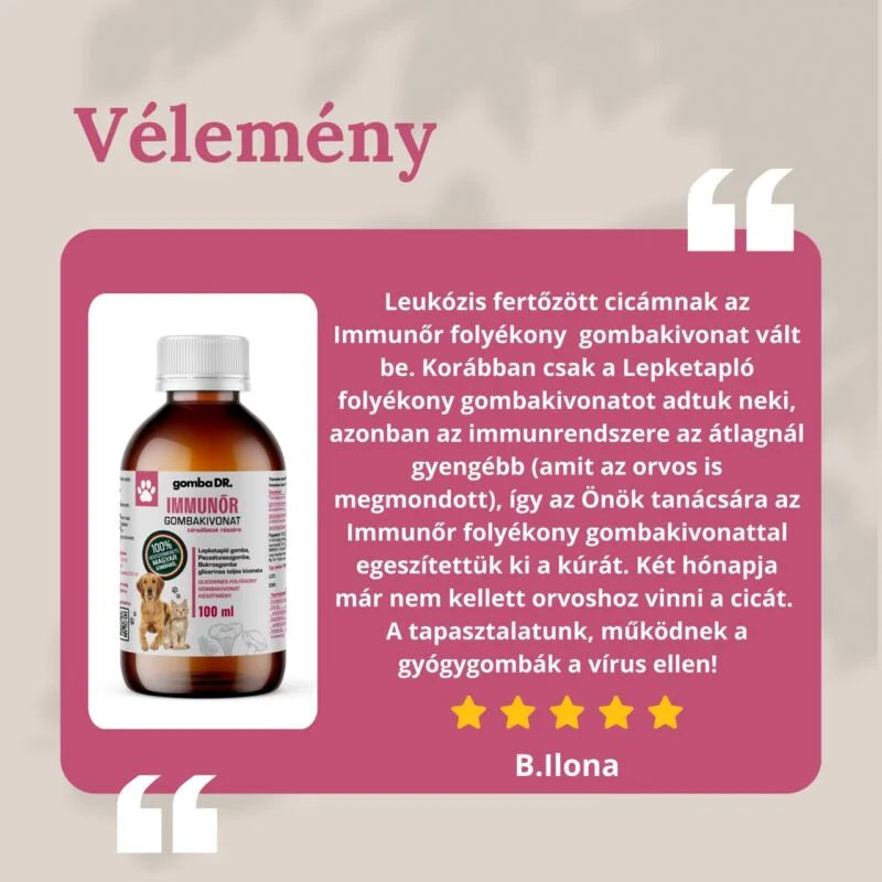 Gomba DR. Immunőr – Gyógygomba kivonat kutyáknak és macskáknak