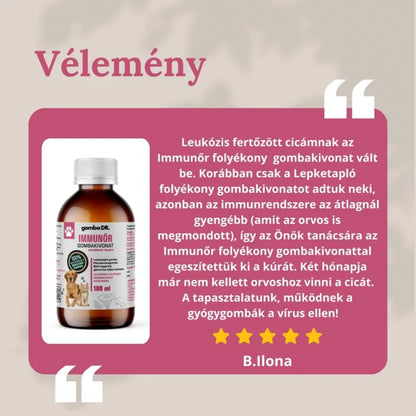 Gomba DR. Immunőr – Gyógygomba kivonat kutyáknak és macskáknak