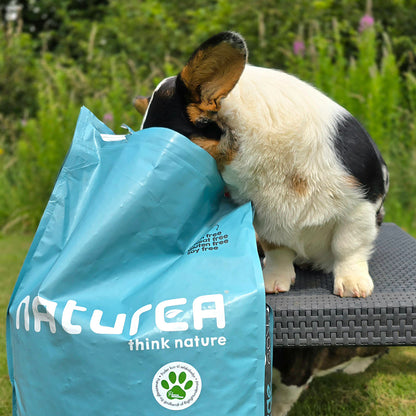 Naturea Mare hipoallergén kutyaeledel  lazaccal