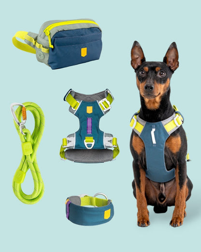 Woolly Wolf kutyafelszerelések Deep Teal színben