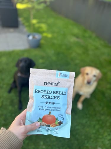 Probio Belly Snacks - probiotikus jutalomfalat