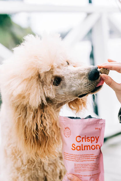 Buddy Crispy Salmon – Ropogós lazacos jutalomfalat kutyáknak