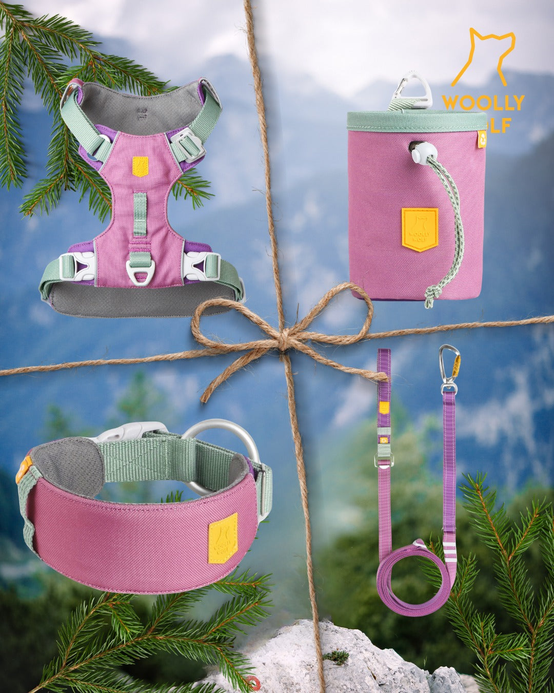 Woolly Wolf kutyafelszerelések Mauve Mix színben