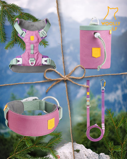 Woolly Wolf kutyafelszerelések Mauve Mix színben