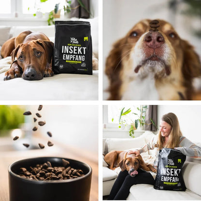 Rovarfehérje - Félnedves Kutyatáp Felnőtt Kutyáknak - 1.5kg