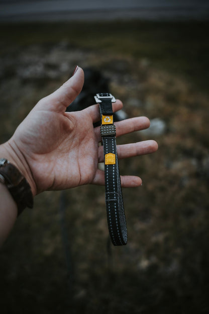 Woolly Wolf multifunkcionális póráz kistestű kutyák számára