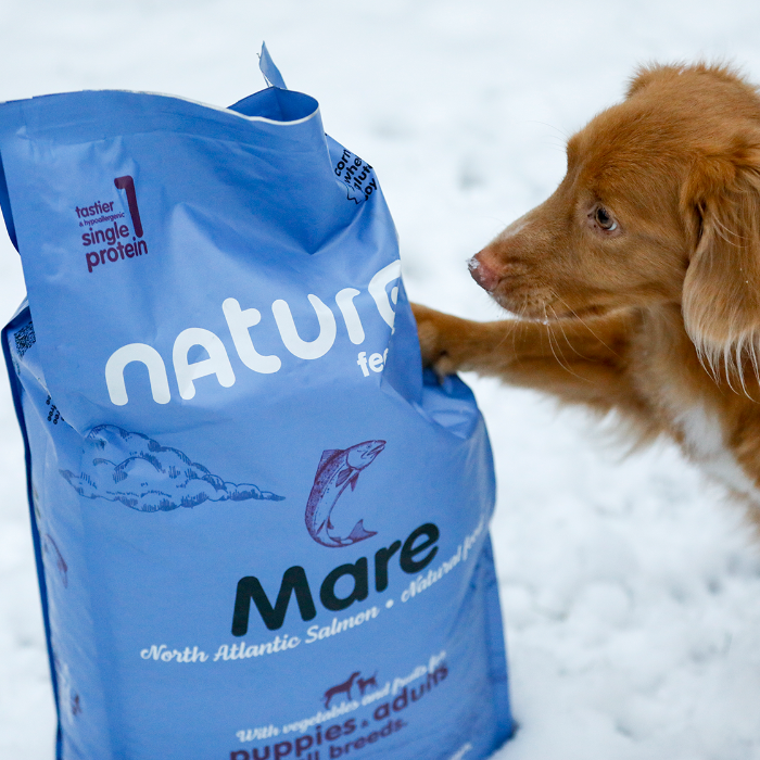 naturea lazacos természetes kutyaeledel