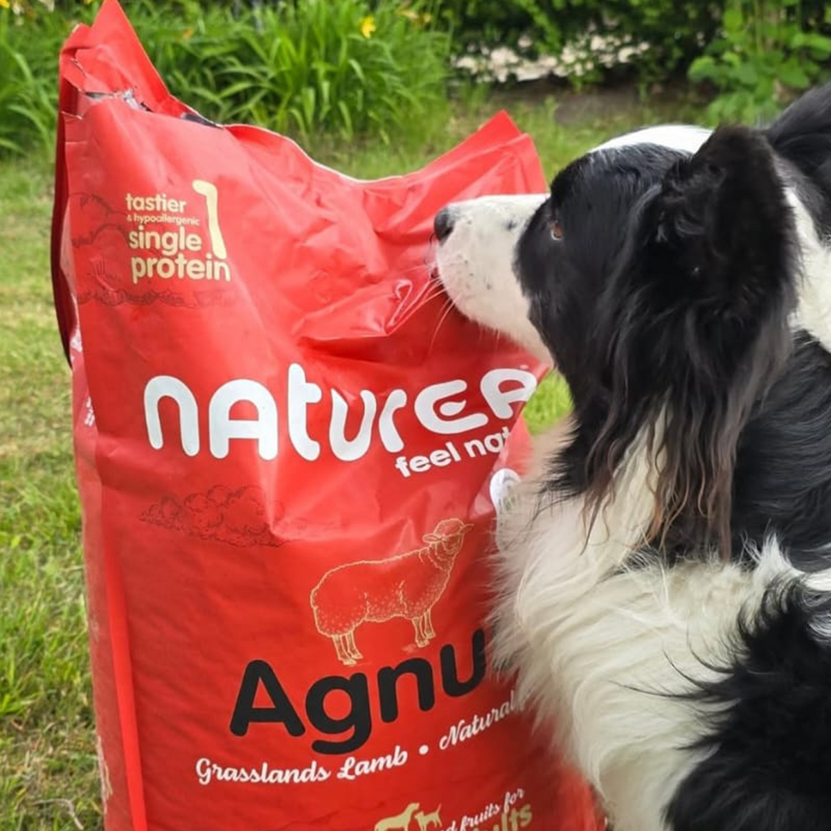 Naturea Agnus Lamb bárányos száraztáp allergiás kutyának