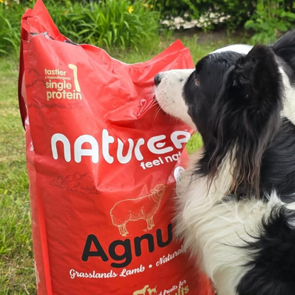Naturea Agnus Lamb bárányos száraztáp allergiás kutyának