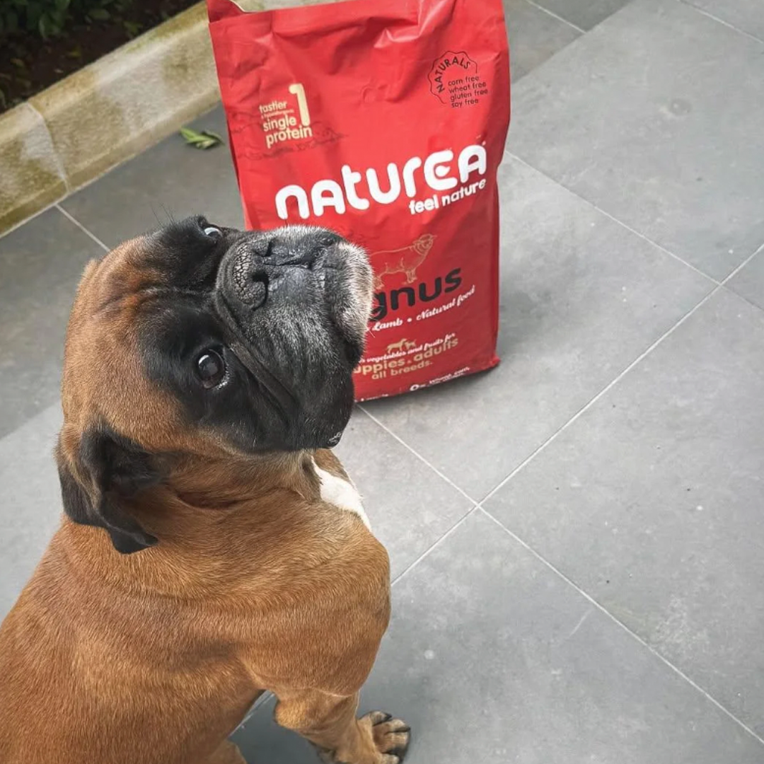 Naturea bárányhúsos kutyatáp egészséges kutya