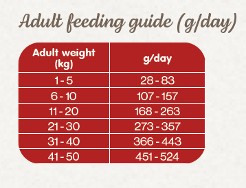 Naturea Naturals AGNUS Grassland Lamb - Bárányhús Hipoallergén Kutyatáp kölyök és felnőtt kutyáknak - Kóstoló csomag - 100gr