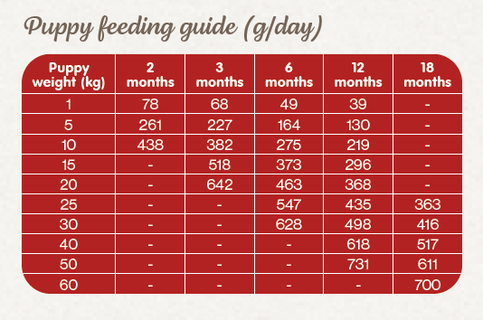 Naturea Naturals AGNUS Grassland Lamb - Bárányhús Hipoallergén Kutyatáp kölyök és felnőtt kutyáknak - Kóstoló csomag - 100gr