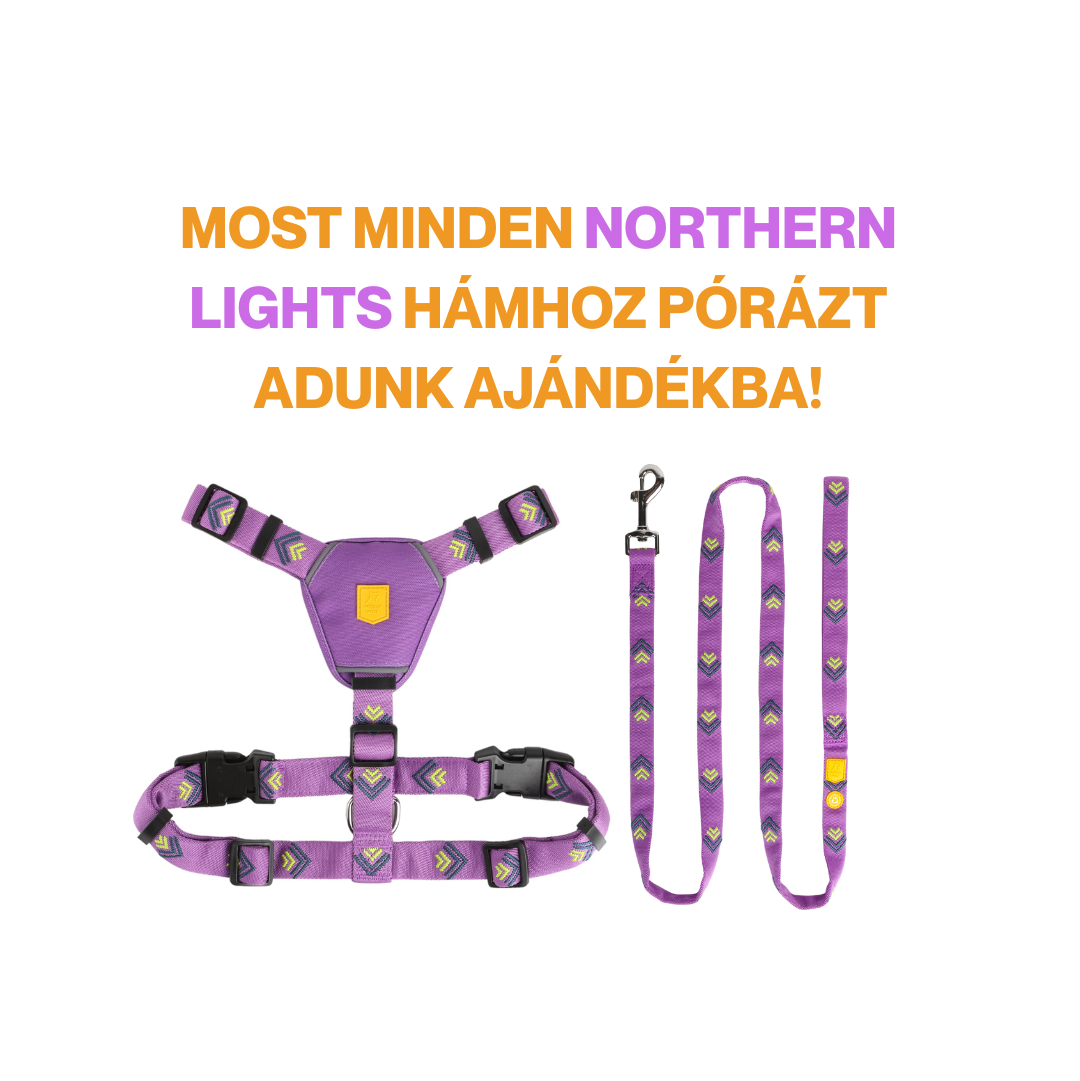 Woolly Wolf NORTHERN LIGHTS hám