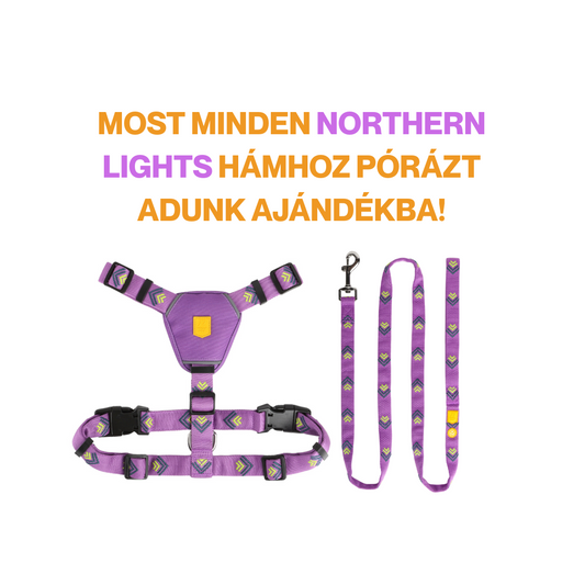 Woolly Wolf NORTHERN LIGHTS hám