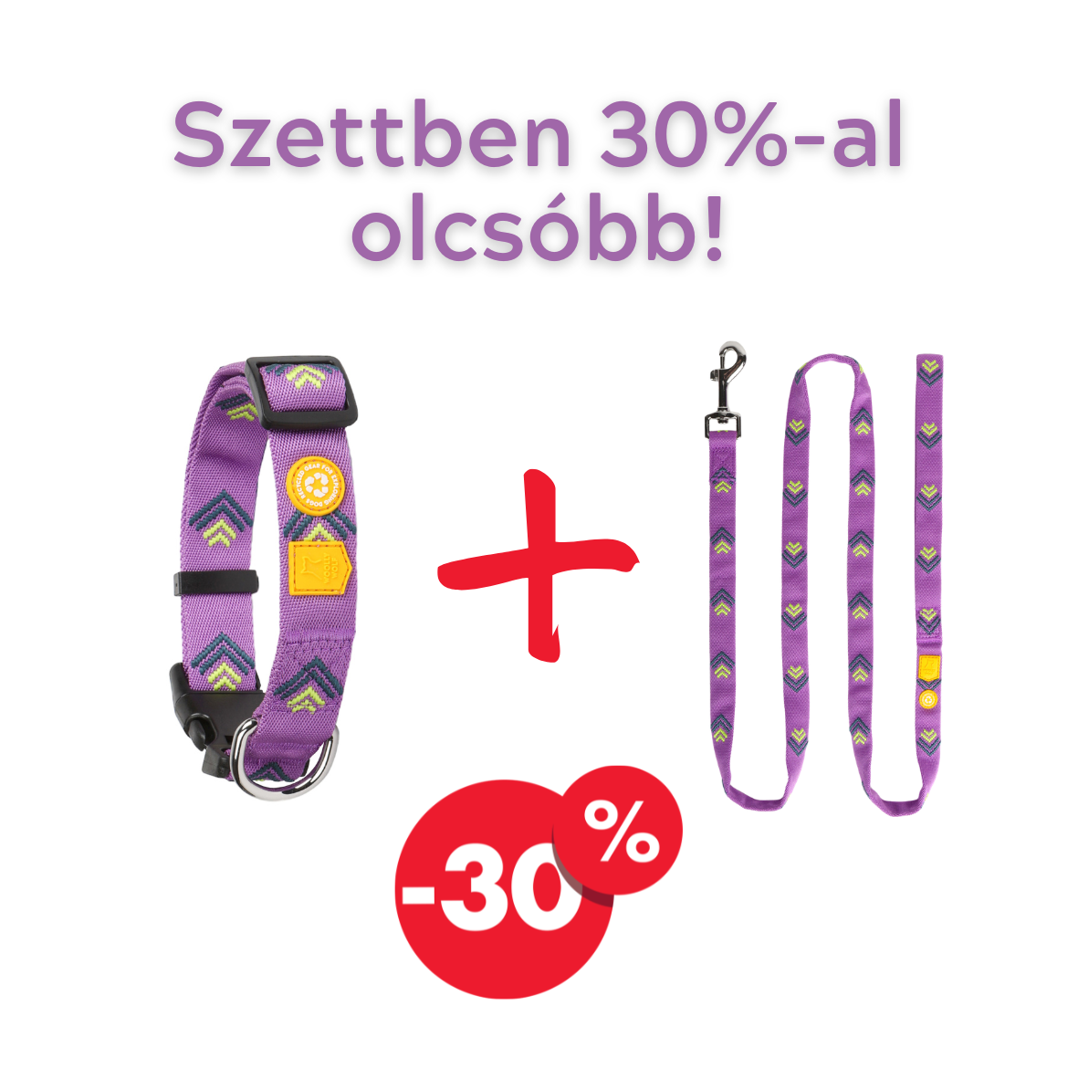 Woolly Wolf Northern lights szett - Nyakörv + Póráz -30%