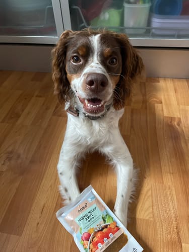 Kutya és a Probio Belly Snacks tasak a mindennapi jutalomfalatozásnál