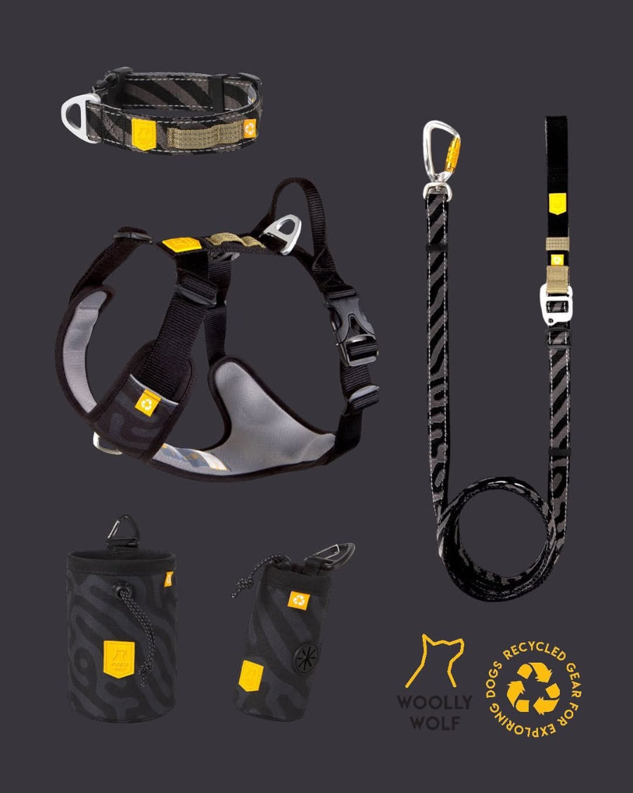 Woolly Wolf Roam kutyafelszerelések