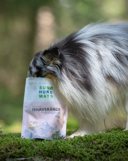 Ellenállhatatlan Sund Hundmat jutalomfalatok