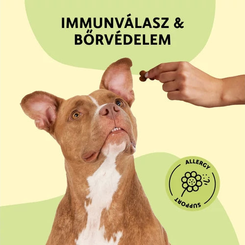 Fürree Allergy Support Soft Chew funkcionális jutalomfalat kutyáknak allergia csökkentésére