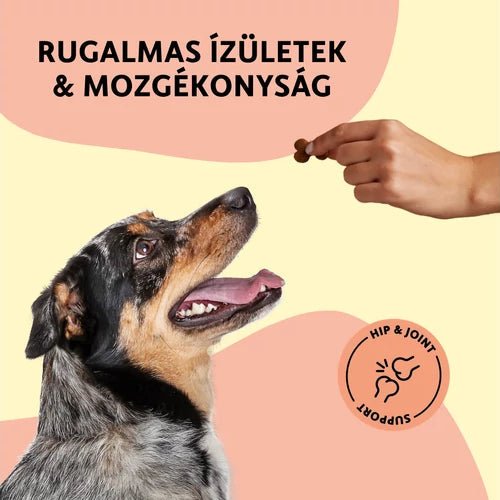 Fürree Hips & Joints funkcionális jutalomfalat kutyáknak könnyen adagolható