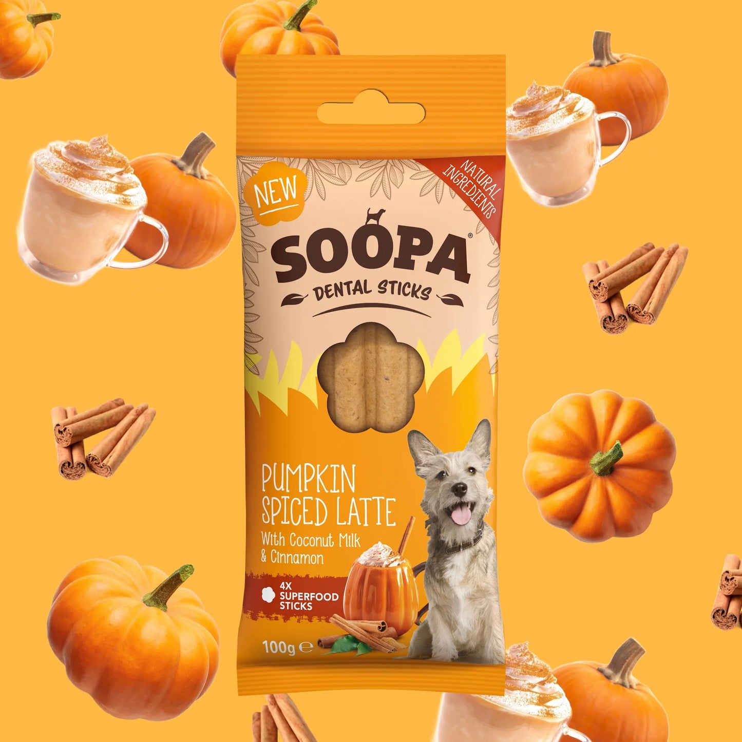 Soopa Dental sticks - Fogtisztító Rúd -Pumpkin Spiced Latte - Limitált kiadás - 100gr