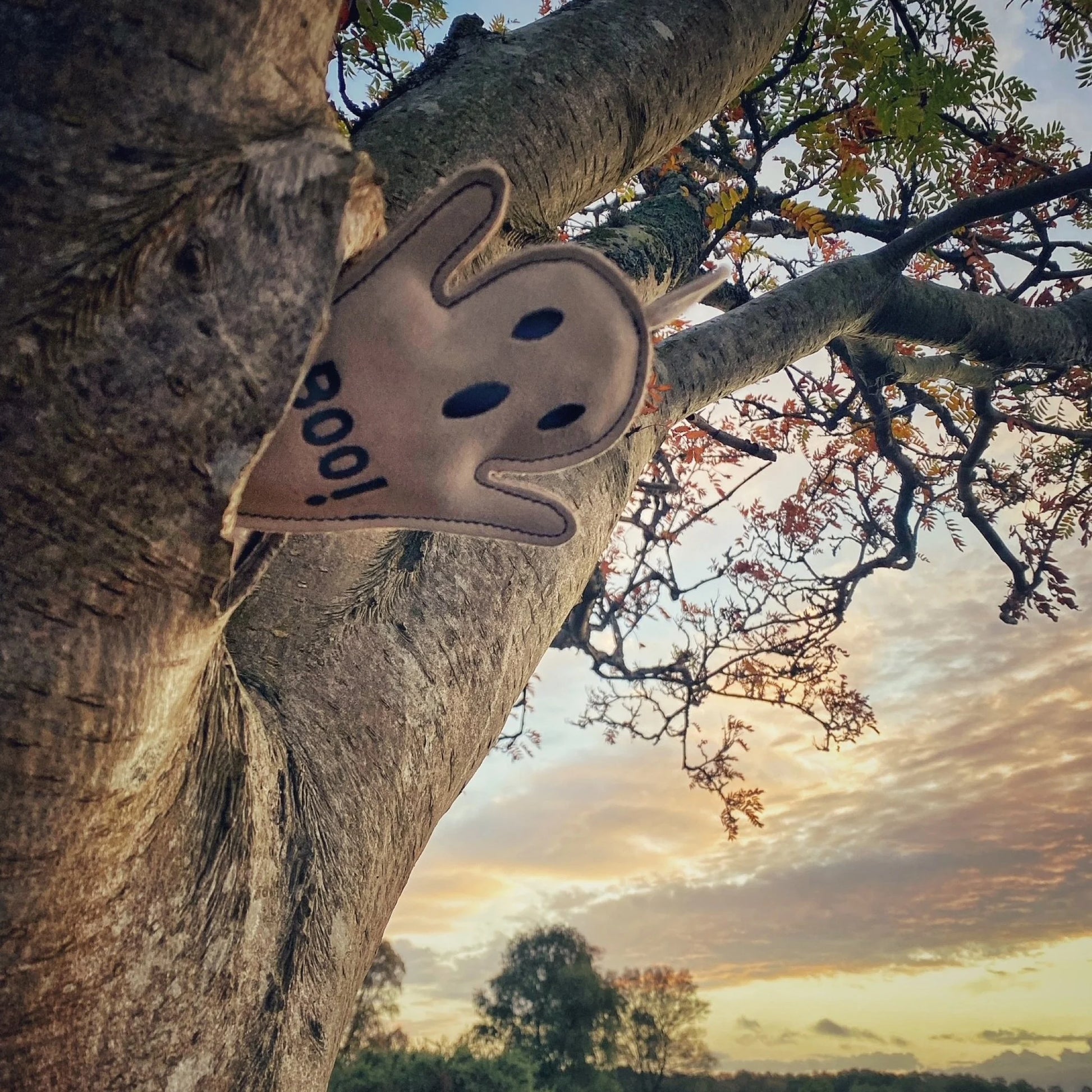 Őszi hangulatbana Boo Hoo Ghost öko kutyajáték