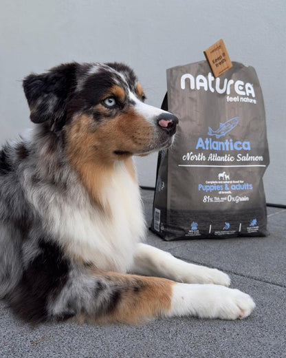 Naturea Atlantica hipallergén kutyatáp lazaccal