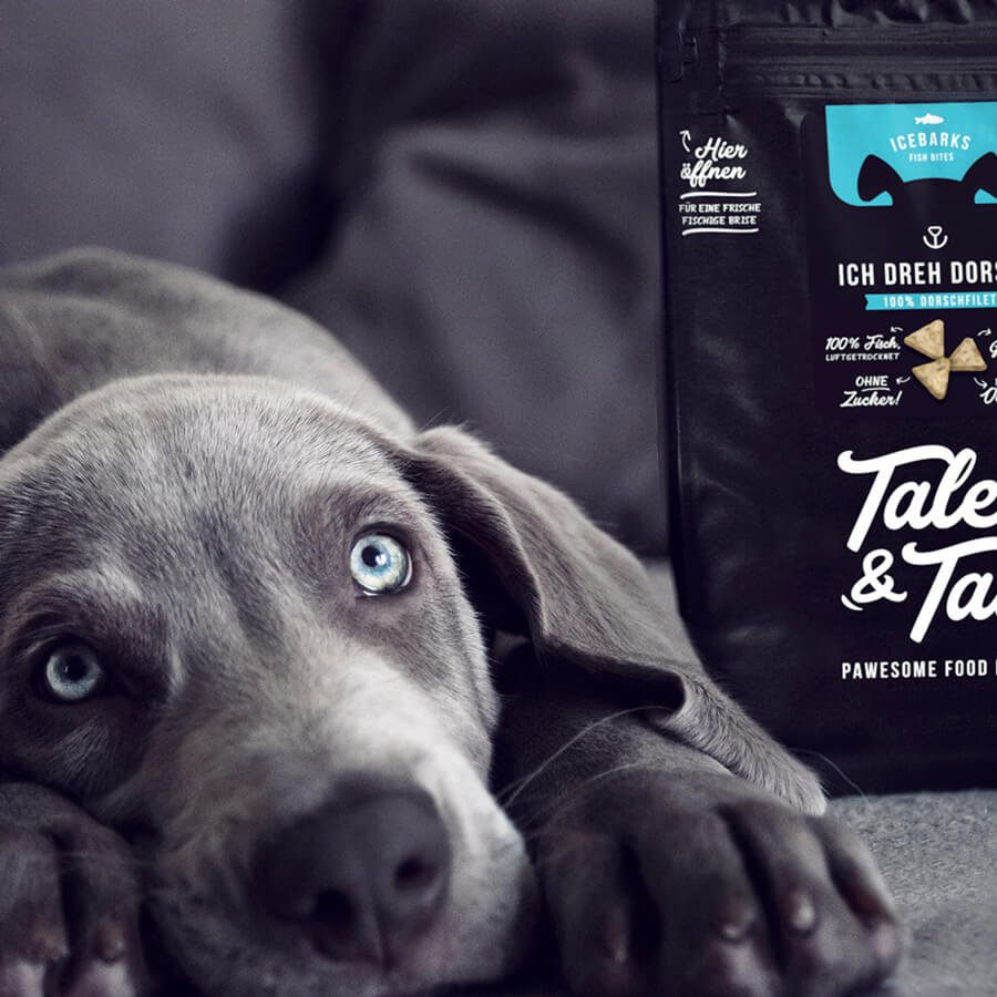 Tales & Tails jutalomfalat kutyáknak -  100% tőkehal - 70gr