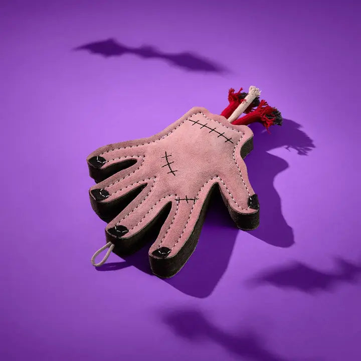The Hand kutyajáték méretarányos kép – 26 x 19 x 2,5 cm