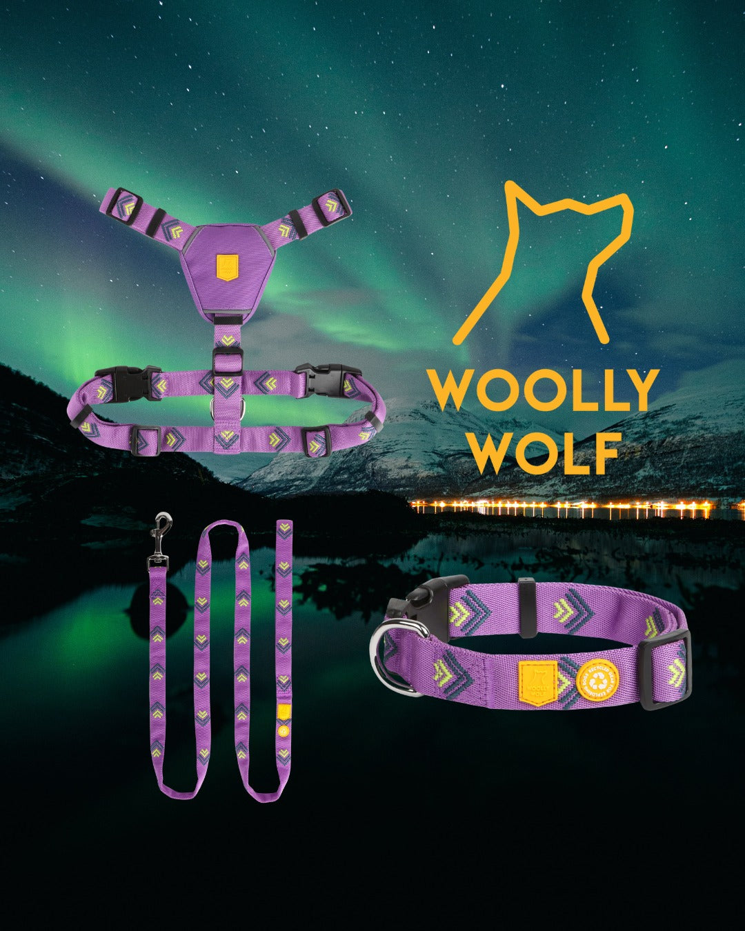Northern lights - Woolly Wolf kutyafelszerelések