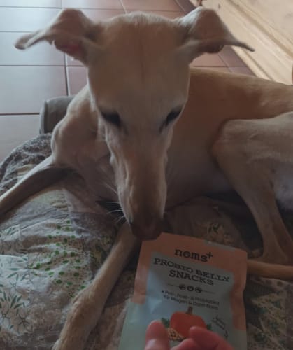 Probio Belly Snacks - érzékeny kutyáknak 