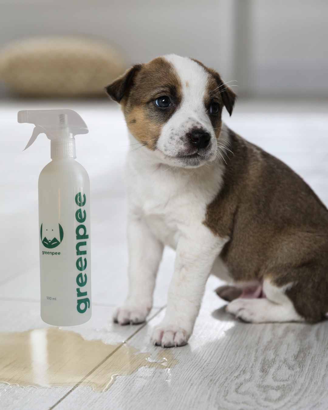 Enzimatikus Vizeletsemlegesítő Spray – 500 ml | Vegyszermentes, 100 %-ban Környezetbarát