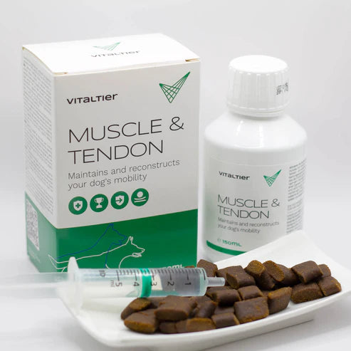 Vitaltier Muscle & Tendon – komplex támogatás izom- és ínszalagrendszernek