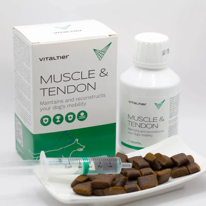 Vitaltier Muscle & Tendon – komplex támogatás izom- és ínszalagrendszernek