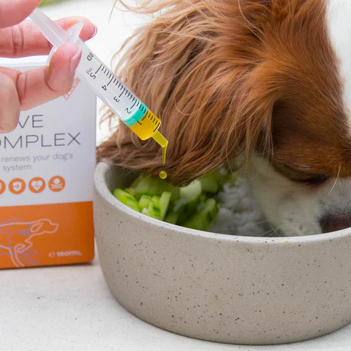 Kutyus gazdájával, aki a Nerve Complexet adagolja etetés közben