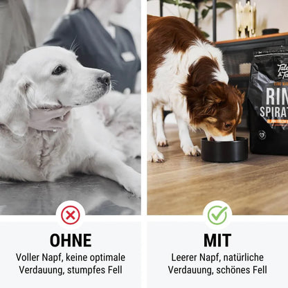 Marhahús - Félnedves Száraztáp Felnőtt Kutyáknak - Tales & Tails