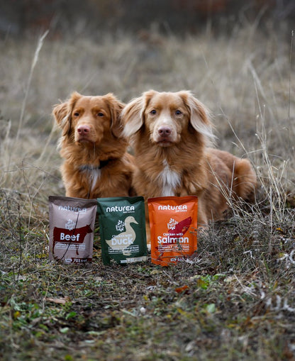 Naturea nedves eledel válogatás kutyáknak 4*300gr