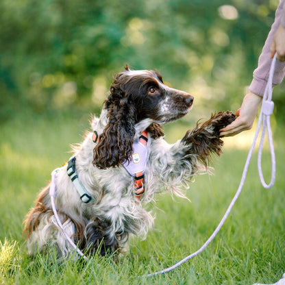 Woolly Wolf fényvisszaverő kötélpóráz levendula színben