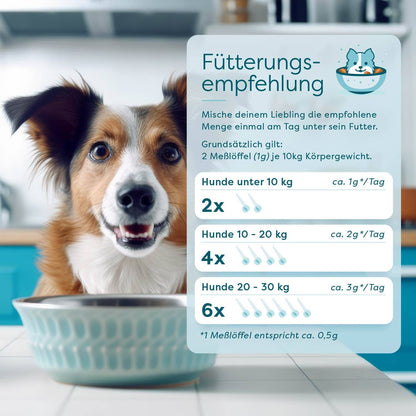 ImmunBooster Dog táplálékkiegészítő kutyáknak adagolás