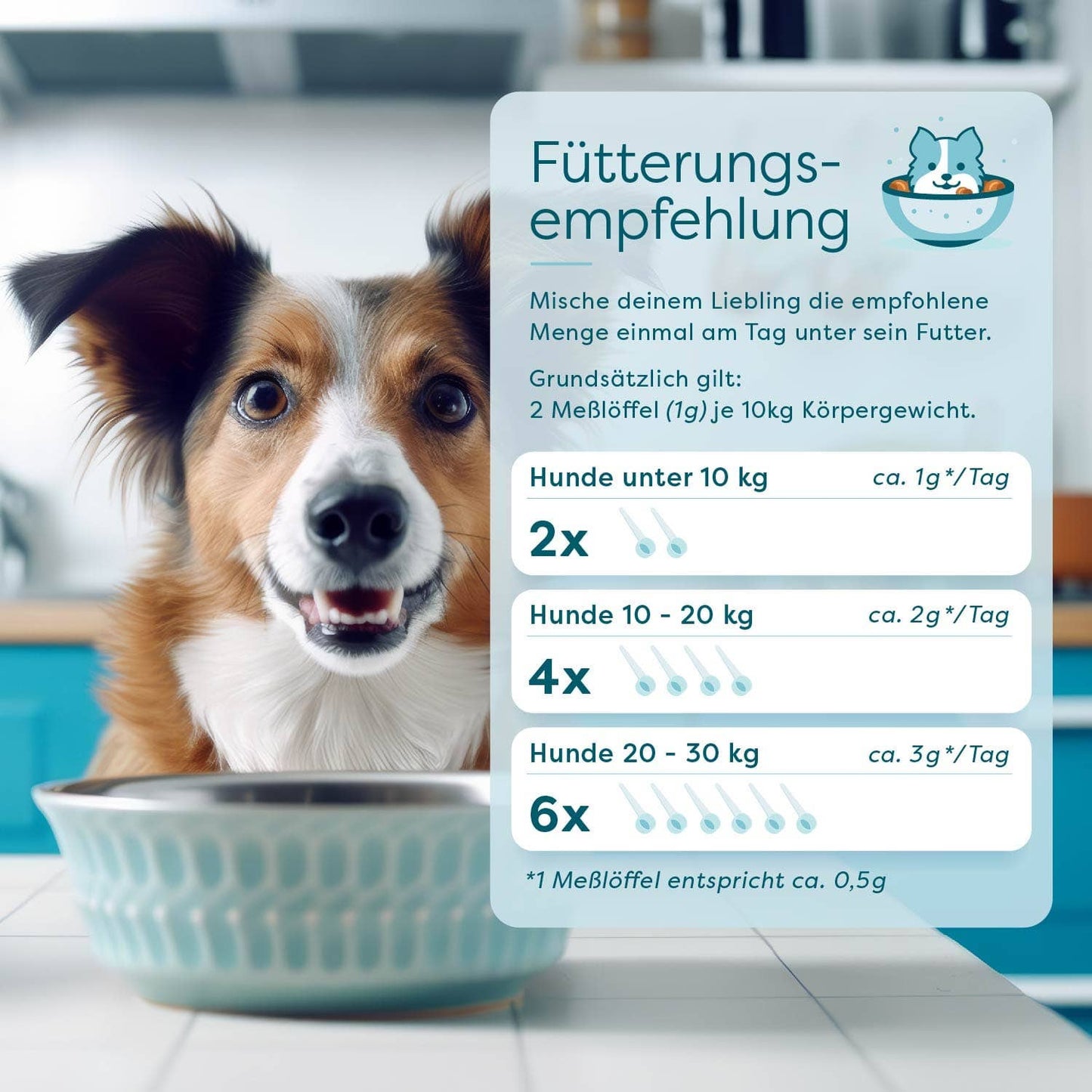 Dr. SAM BellyLove Dog emésztéstámogató por kutyáknak