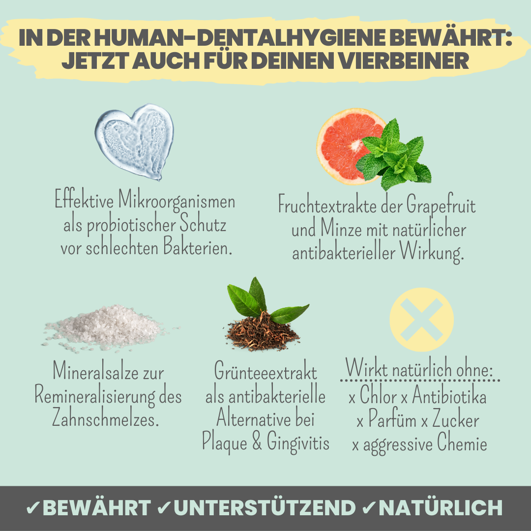Szájszag elleni fogápoló kutyáknak természetes anyagokkal