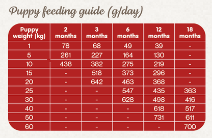 Naturea Naturals AGNUS Grassland Lamb - Bárányhús Hipoallergén Kutyatáp kölyök és felnőtt kutyáknak