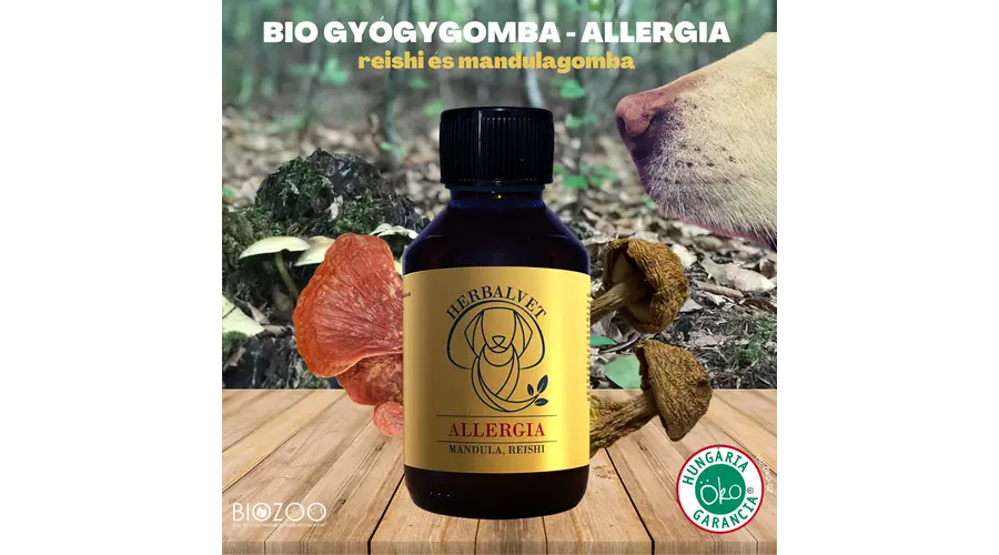 Bio Gyógygomba kutyáknak - Allergia