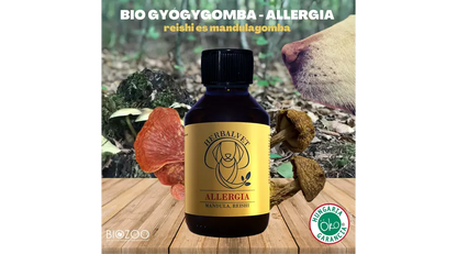 Bio Gyógygomba kutyáknak - Allergia